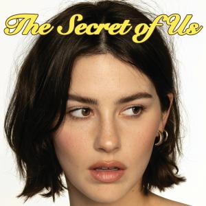 Album cover for Risk album cover