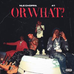 Album cover for Or What album cover