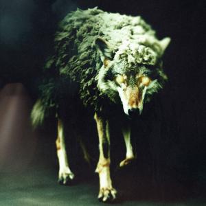 Album cover for Wolf In Sheep's Clothing [REBORN] album cover