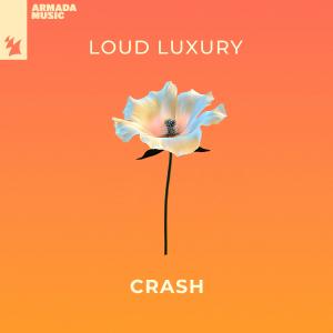 Album cover for Crash album cover