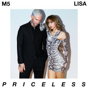 Album cover for Priceless album cover