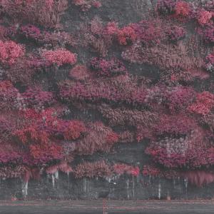 Album cover for Even In Arcadia album cover