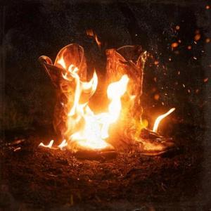 Album cover for Walk Through Fire album cover