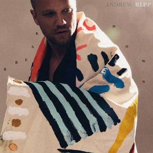 Album cover for Breakdown album cover