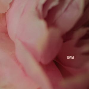 Album cover for Survive album cover
