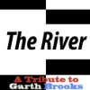 Album cover for The River album cover