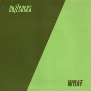 Album cover for What Do I Get? album cover