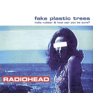 Album cover for Fake Plastic Trees album cover