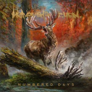 Album cover for Numbered Days album cover