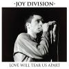 Love Will Tear Us Apart