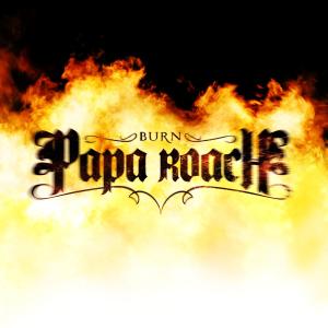 Album cover for Burn album cover