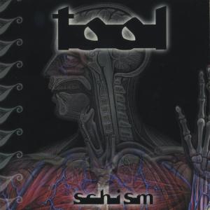 Album cover for Schism album cover