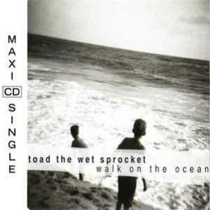 Album cover for Walk On The Ocean album cover