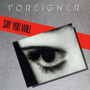 Album cover for Say You Will album cover